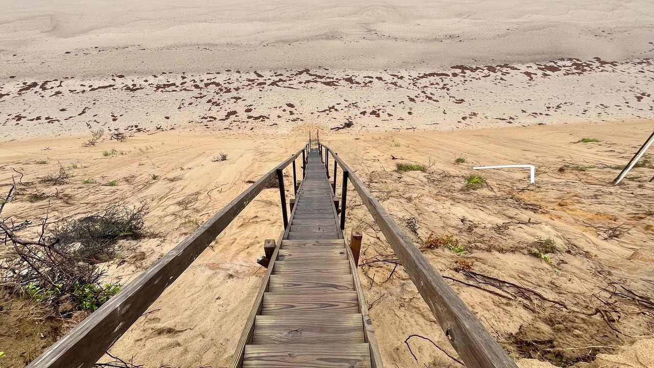 Photo of Others in South Wellfleet
