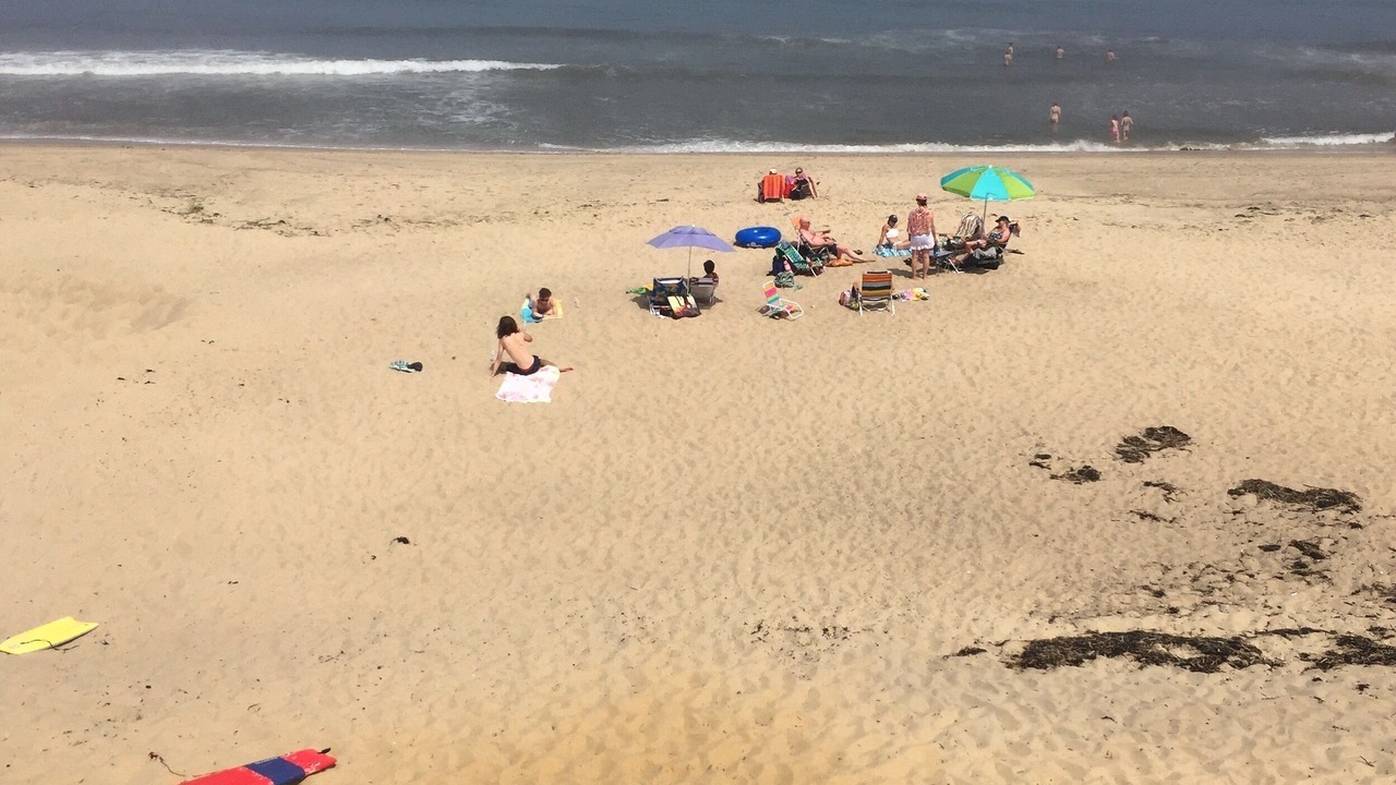 Photo of Others in South Wellfleet