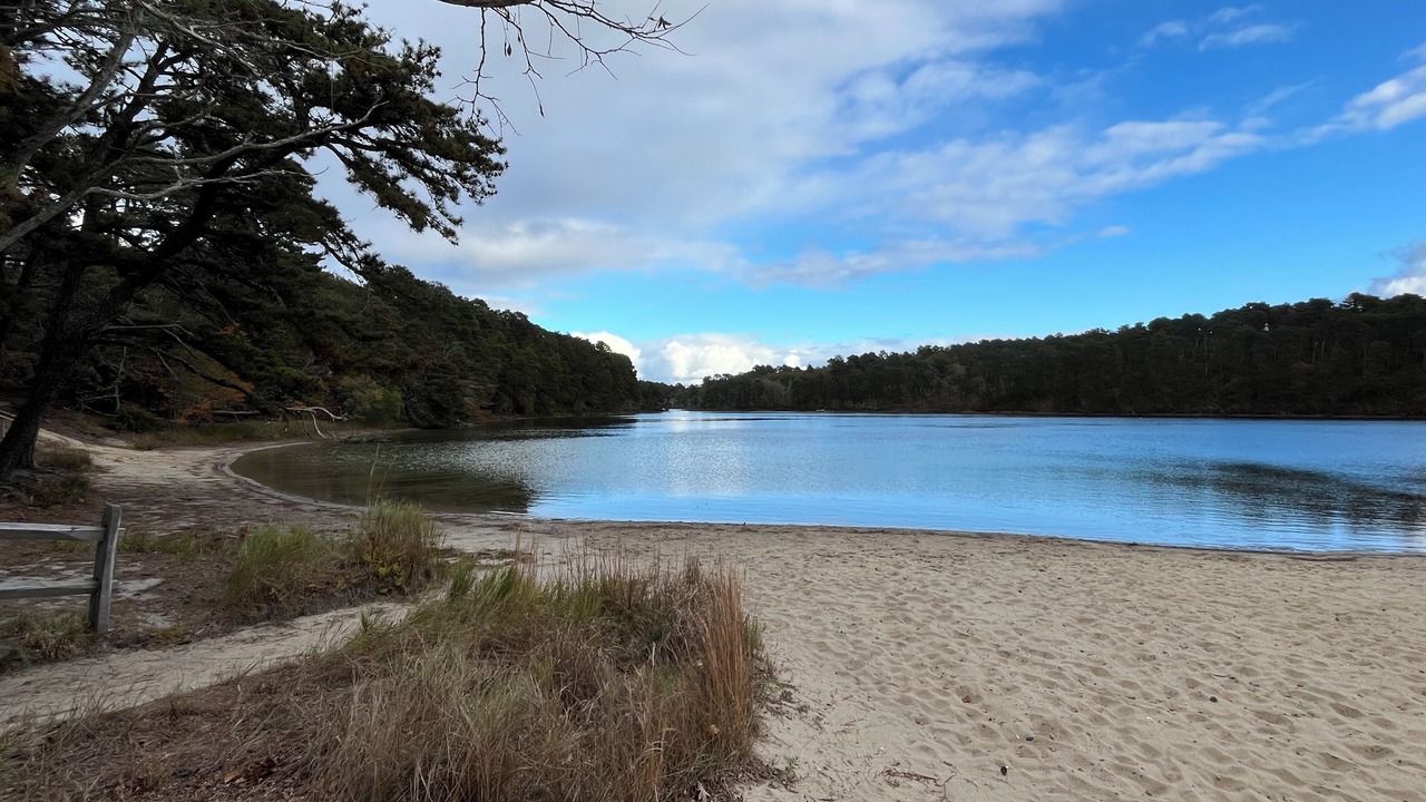 Photo of Others in South Wellfleet