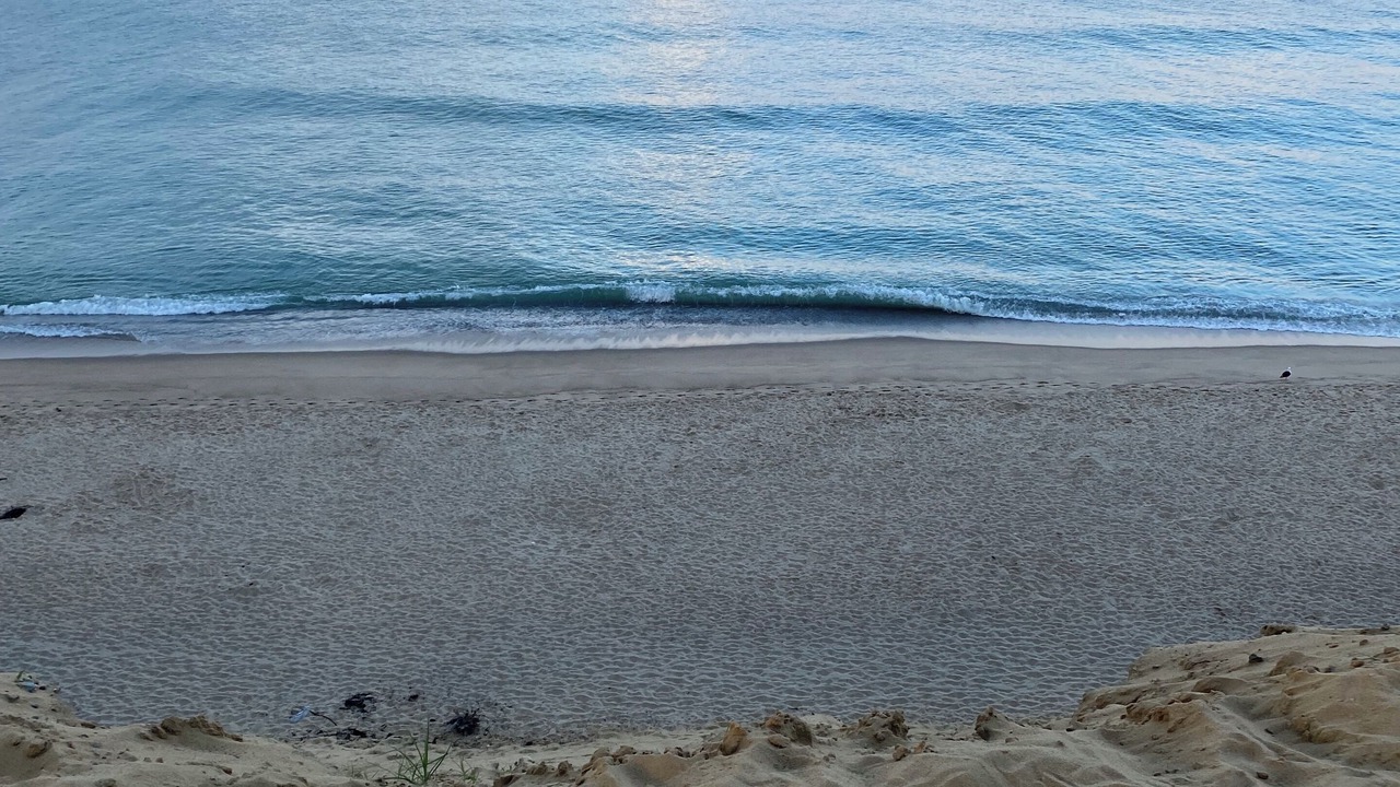 Photo of Others in South Wellfleet