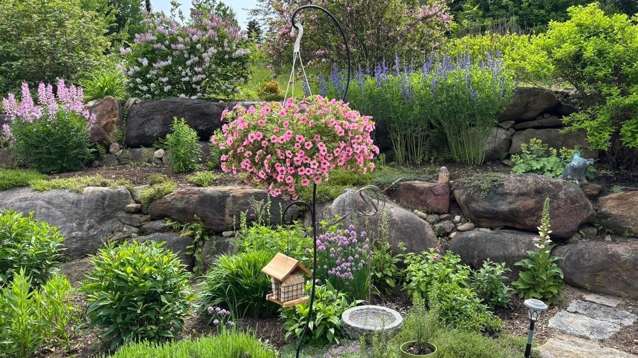Photo of Outdoor in Sandwich