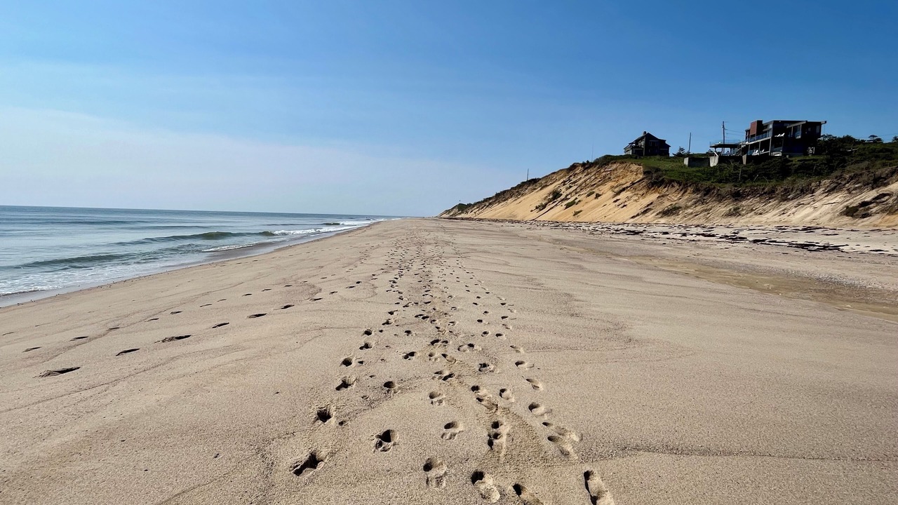 Photo of Others in South Wellfleet