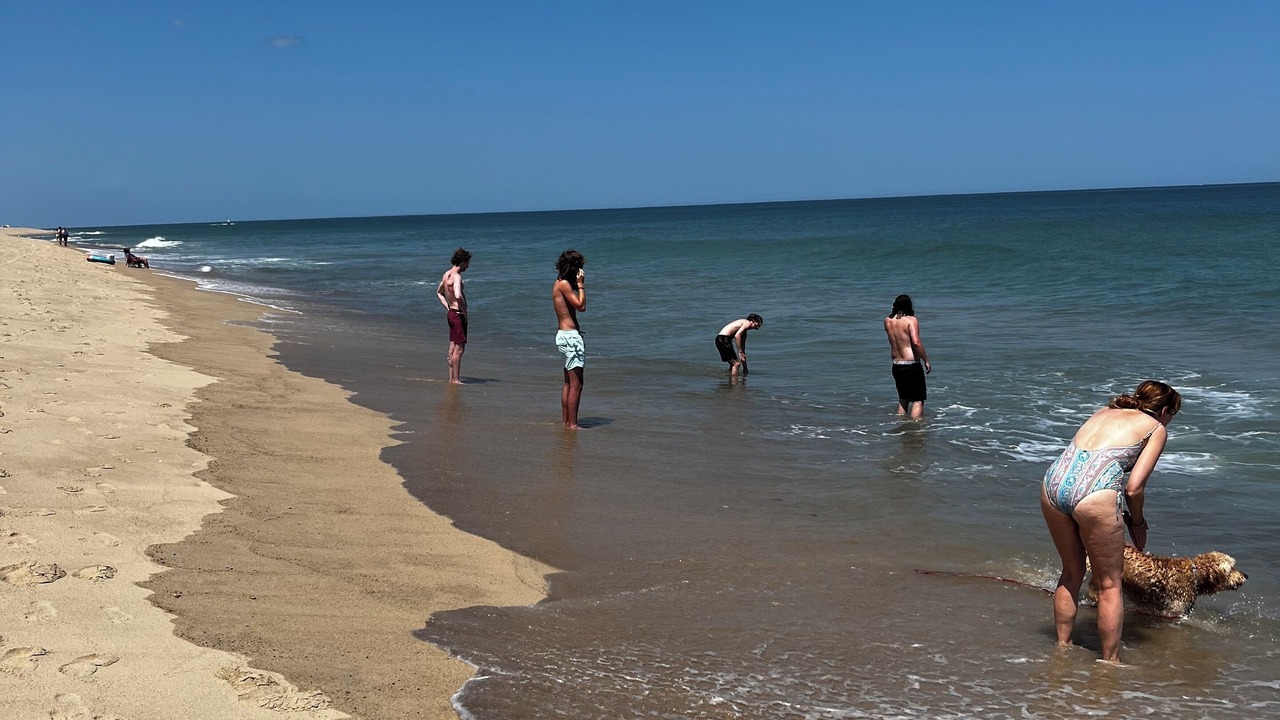 Photo of Others in South Wellfleet