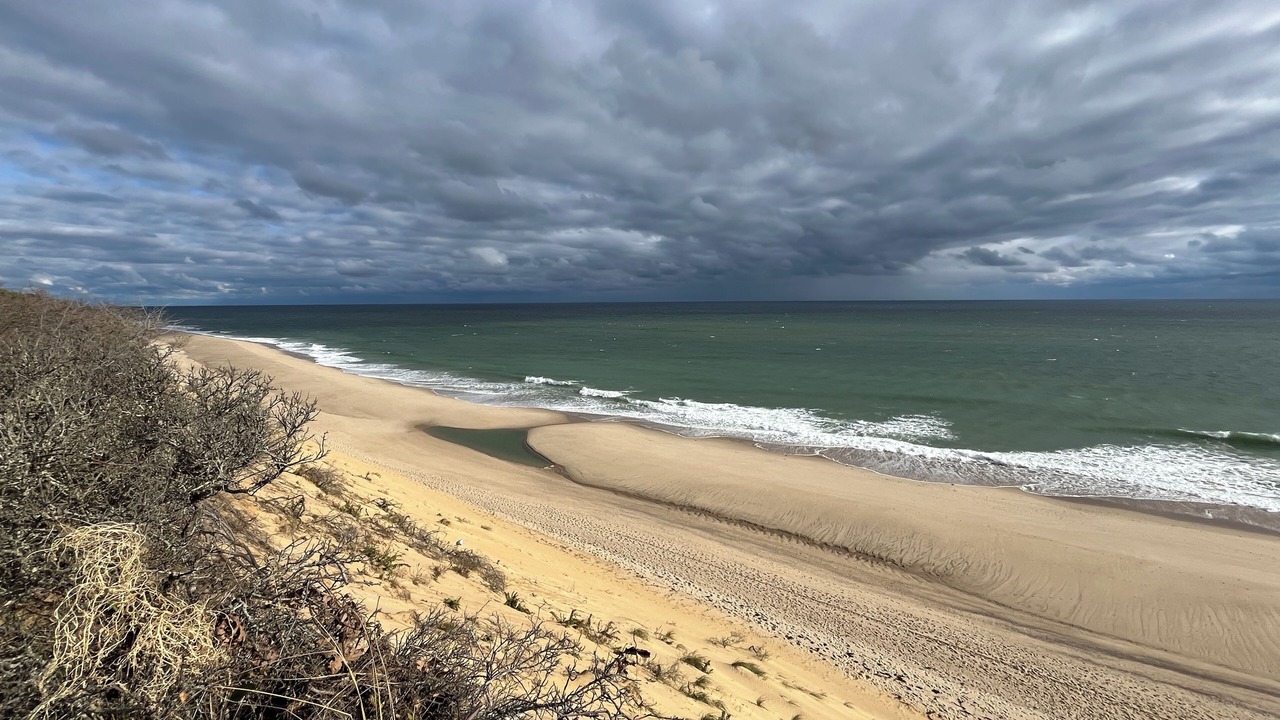 Photo of Others in South Wellfleet