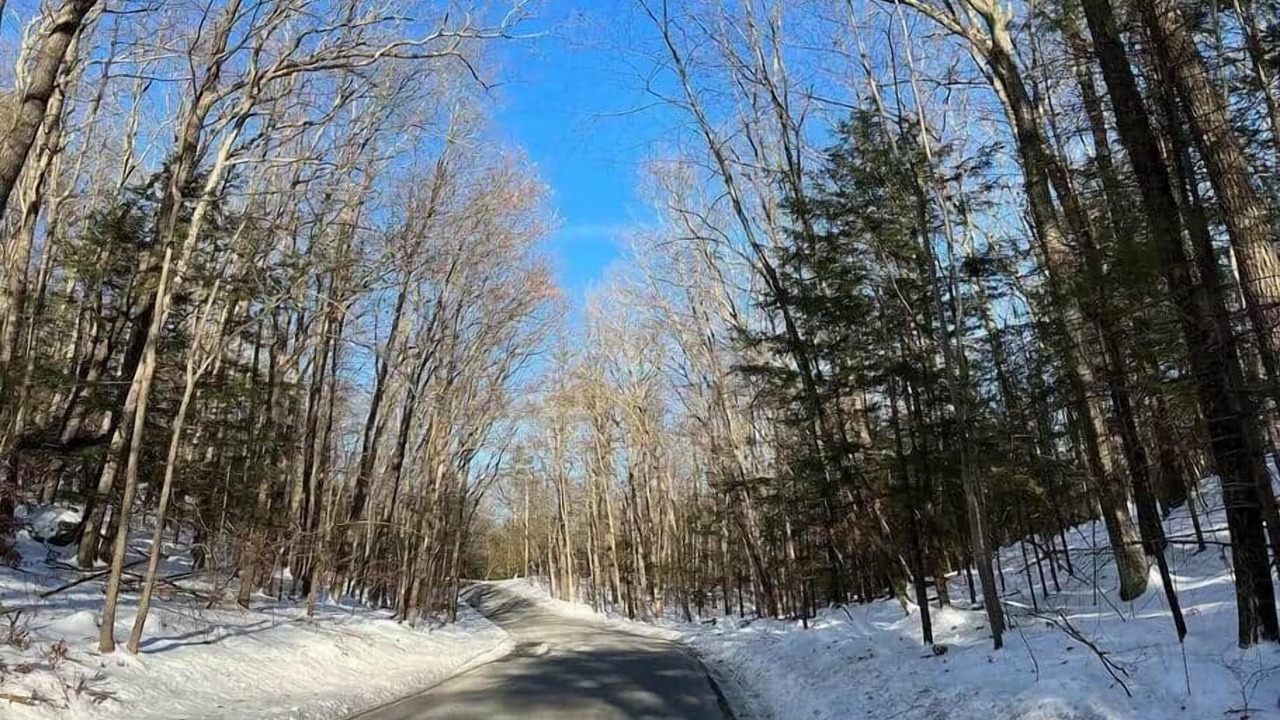 Photo of Others in Mount Marion
