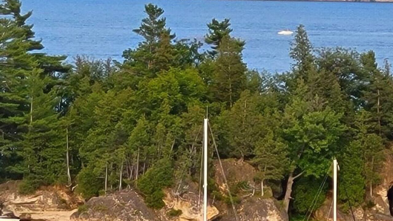 Photo of Others in Malletts Bay