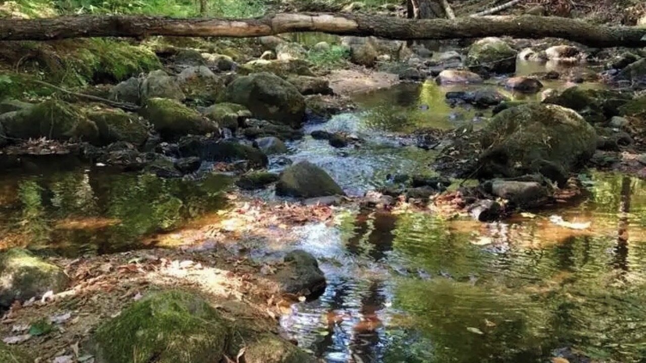Photo of Others in New Hampton