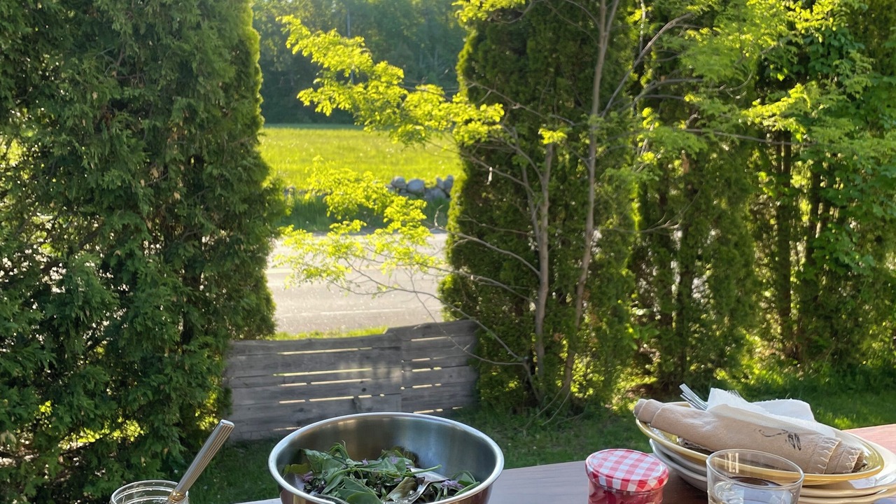 Photo of Outdoor in Center Lovell