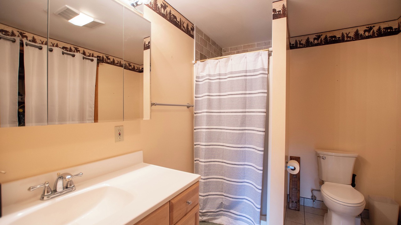 Photo of Bathroom in Saranac Lake