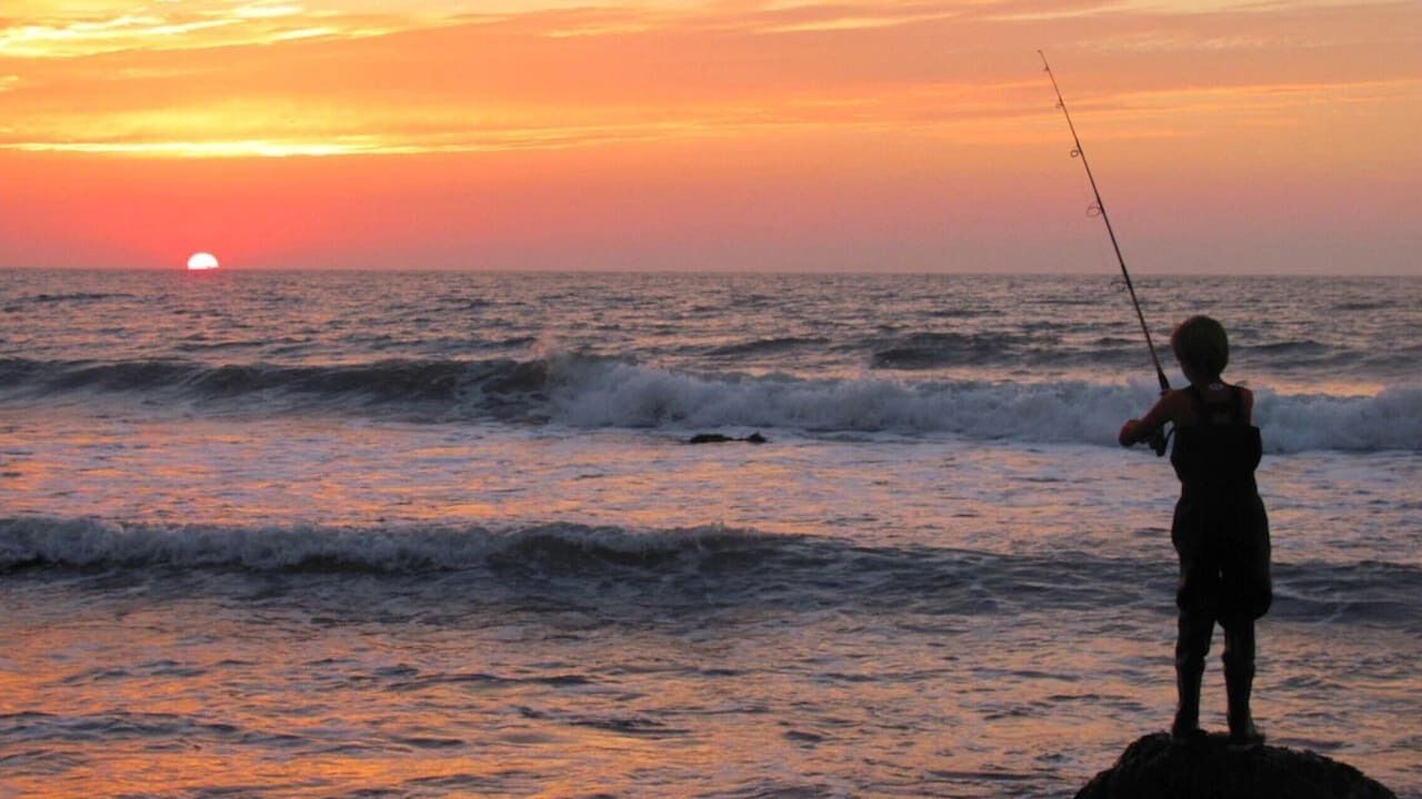 Photo of Others in Chilmark