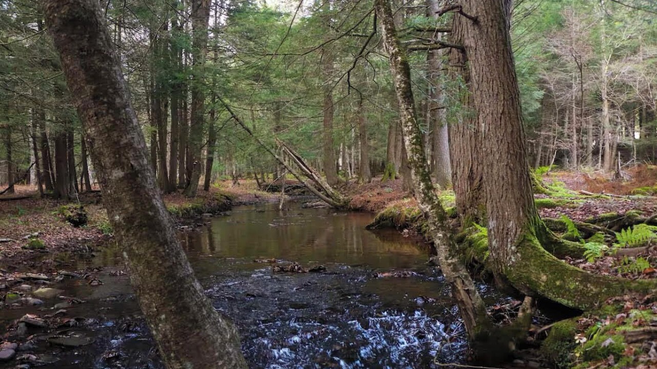 Photo of Others in Cochecton