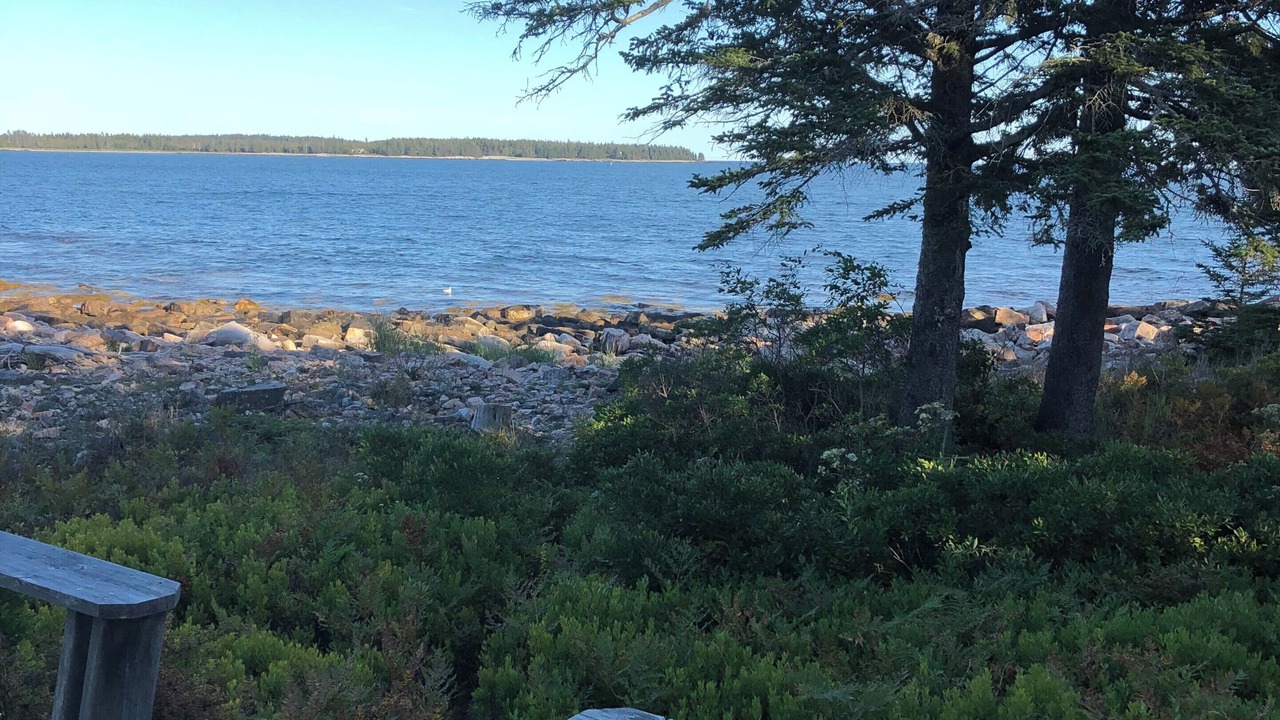 Photo of Others in Seawall