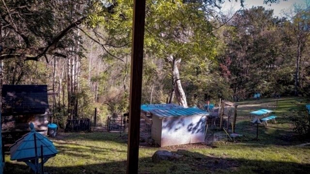 Photo of Outdoor in Whitehall