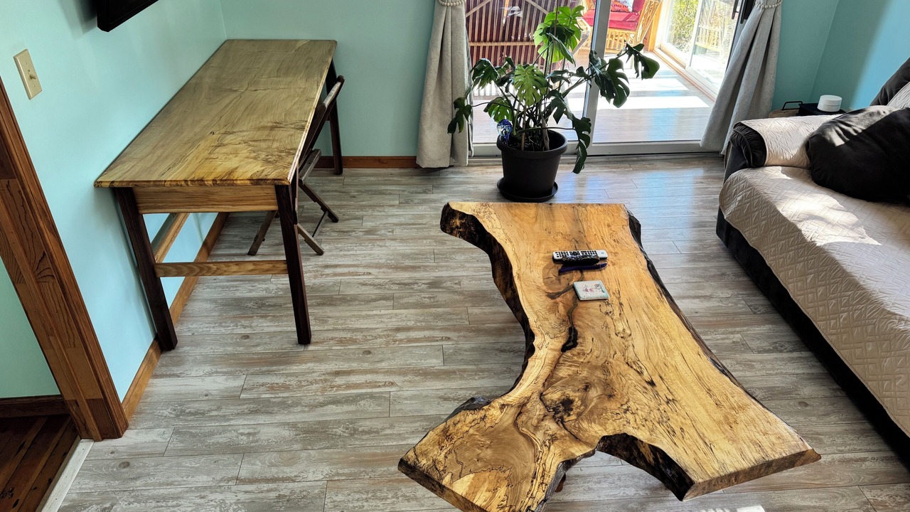 Photo of Livingroom in Sodus Point