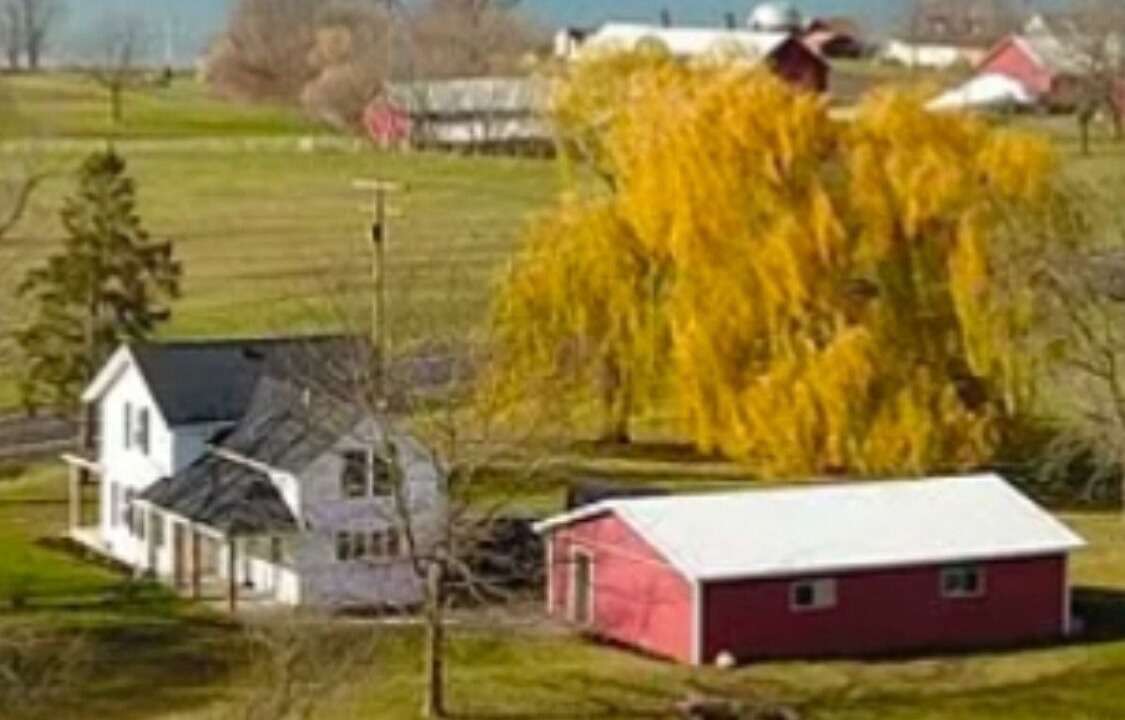 Photo of Others in Cayuga