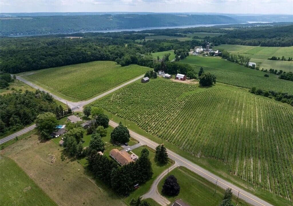 Photo of Outdoor in Branchport