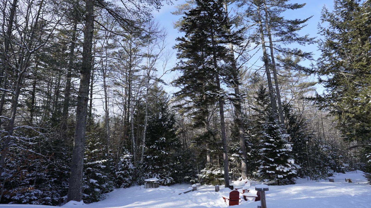 Photo of Outdoor in Hanover