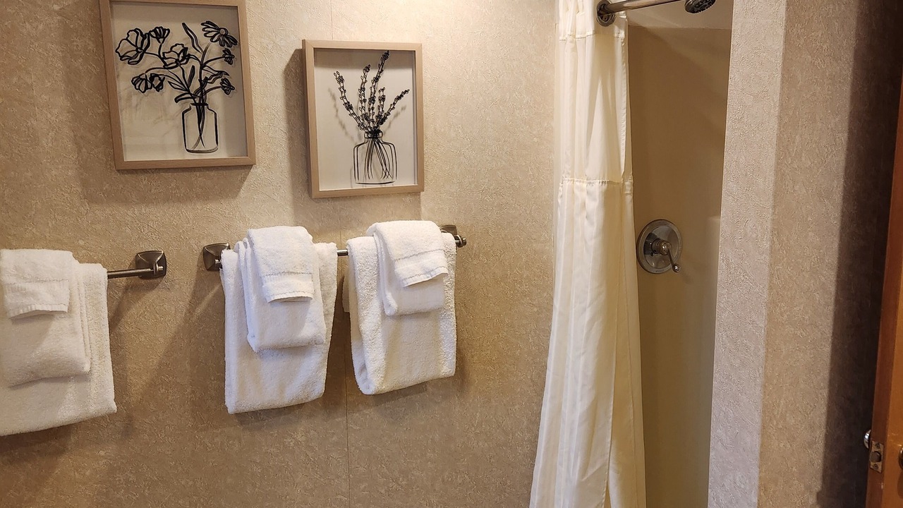 Photo of Bathroom in Bartlett