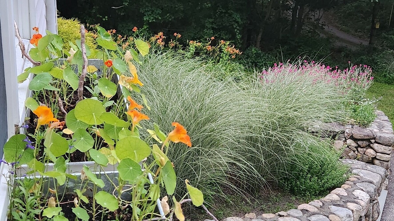 Photo of Outdoor in Charlestown
