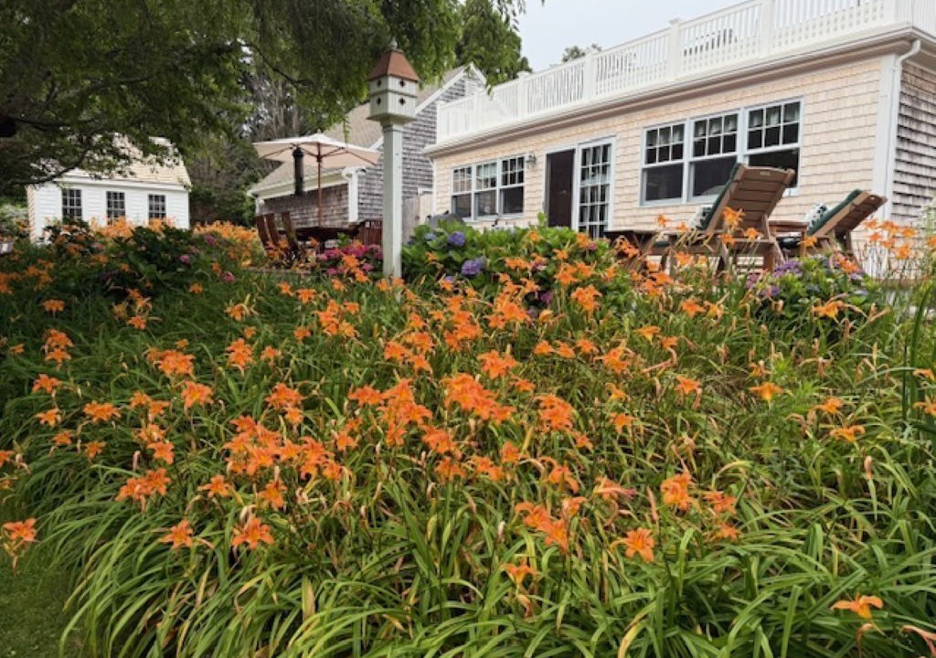 Photo of Outdoor in North Chatham