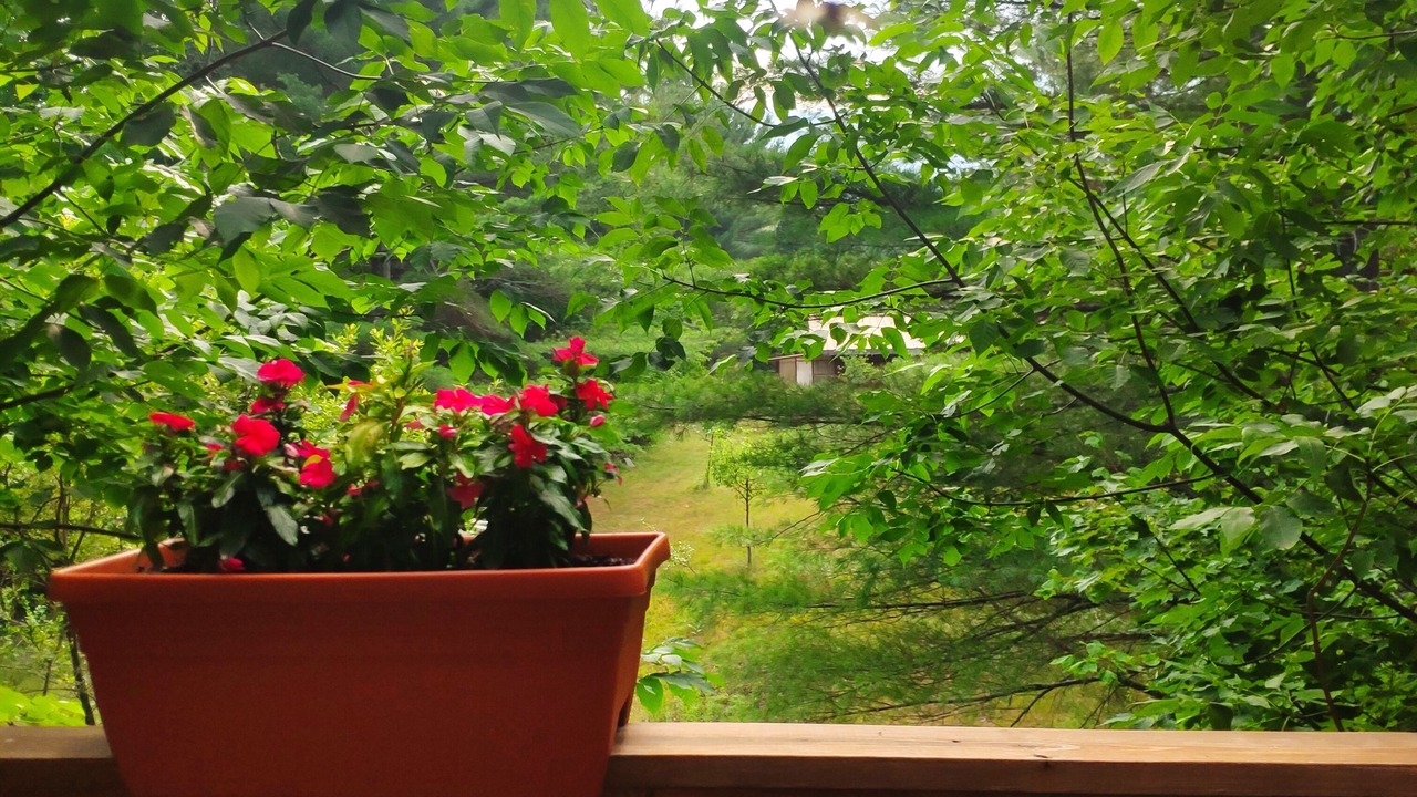 Photo of Outdoor in Wilmington