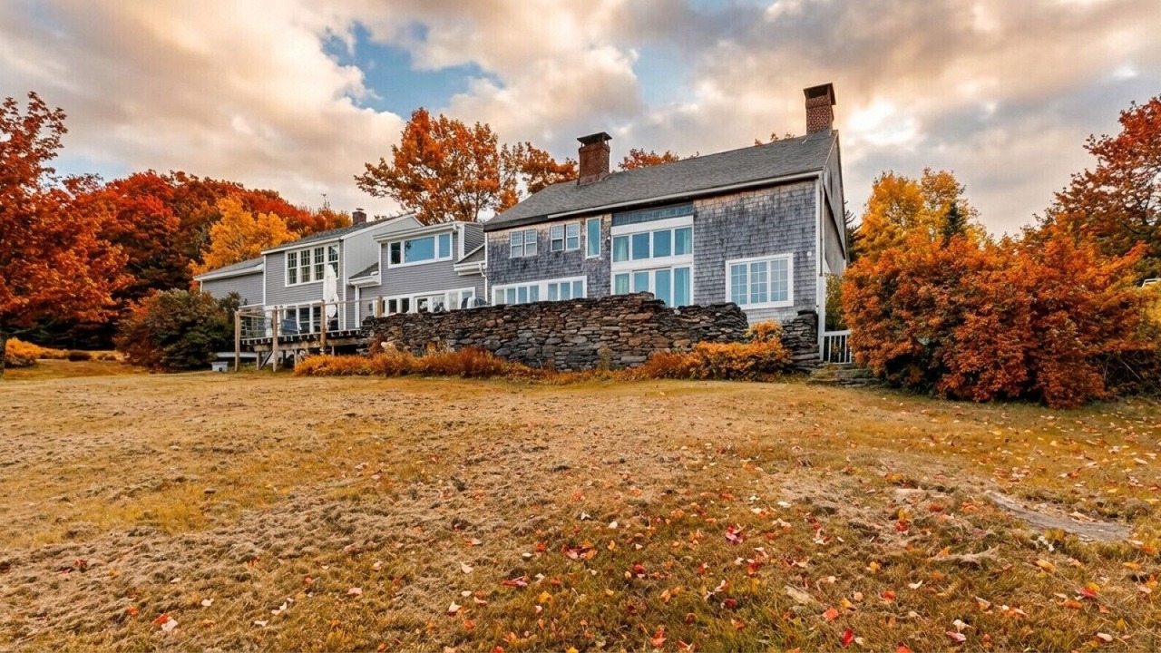 Photo of Others in West Dover