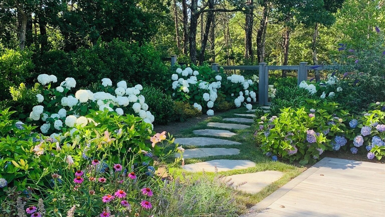 Photo of Outdoor in Edgartown