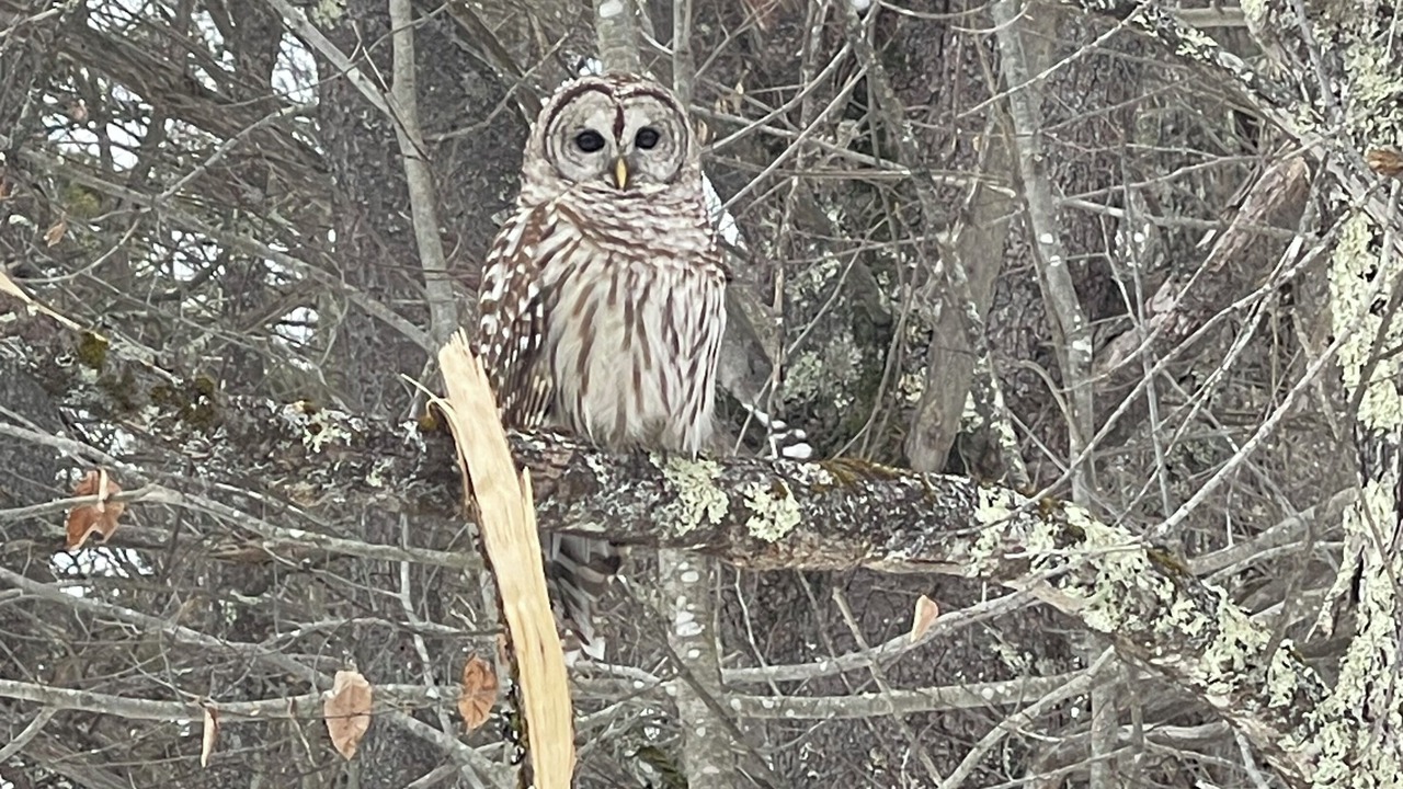 Photo of Others in West Newfield