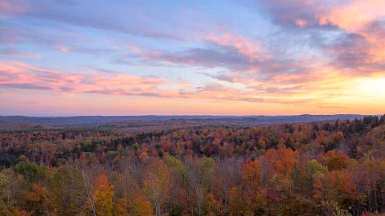 Photo of Outdoor in Wilmington