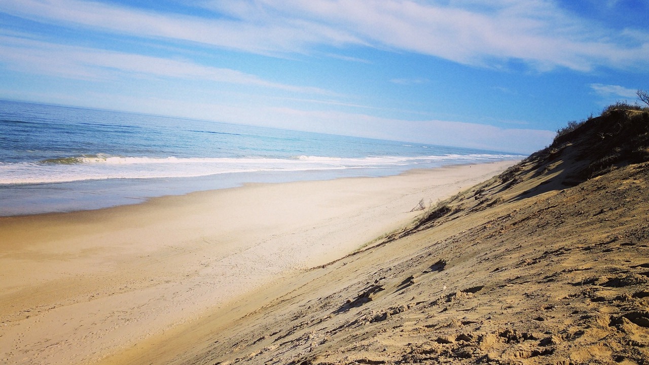 Photo of Others in Wellfleet