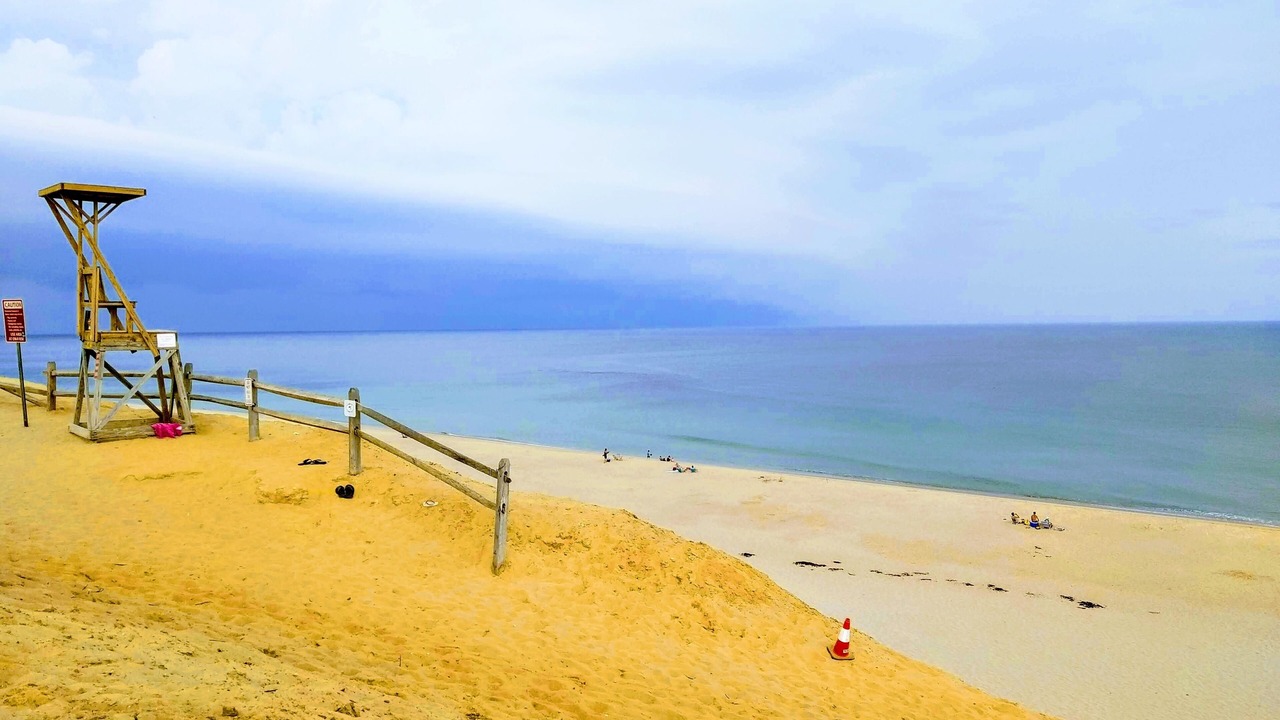 Photo of Others in Wellfleet