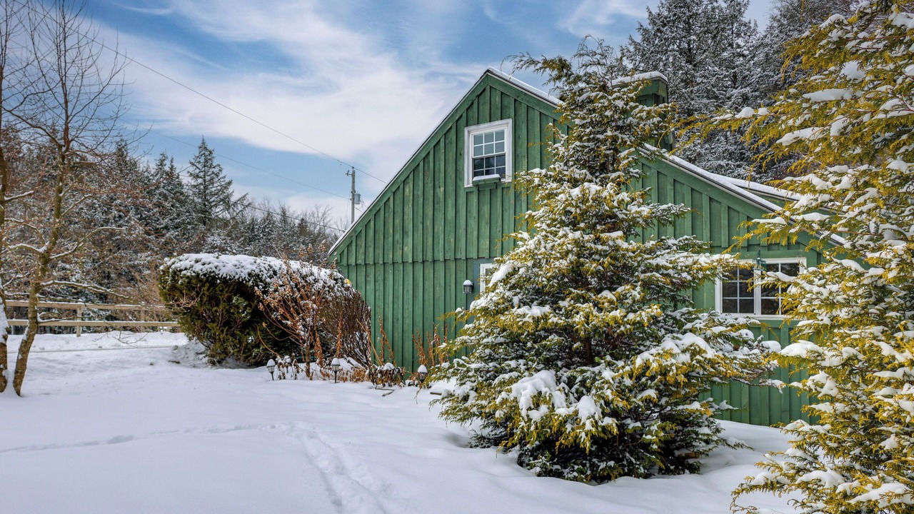Photo of Outdoor in East Arlington