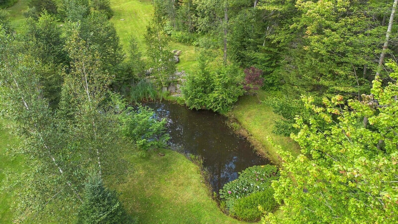 Photo of Others in Stratton