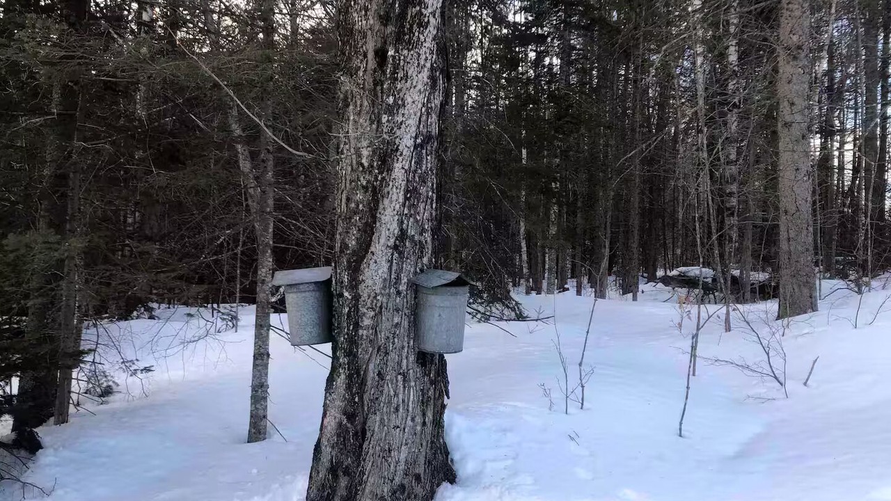 Photo of Others in Greensboro
