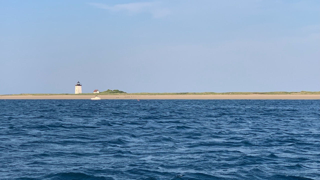 Photo of Others in North Truro