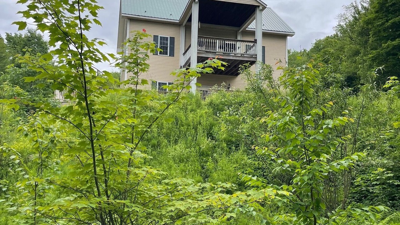 Photo of Outdoor in Roxbury
