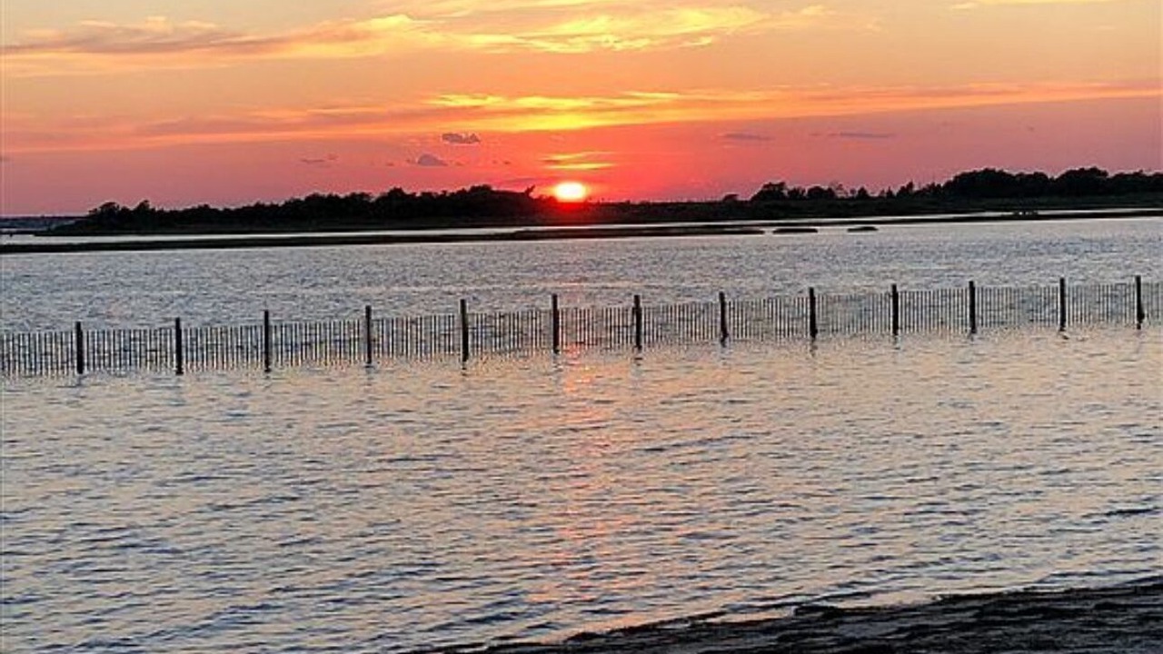 Photo of Others in Beach Haven West