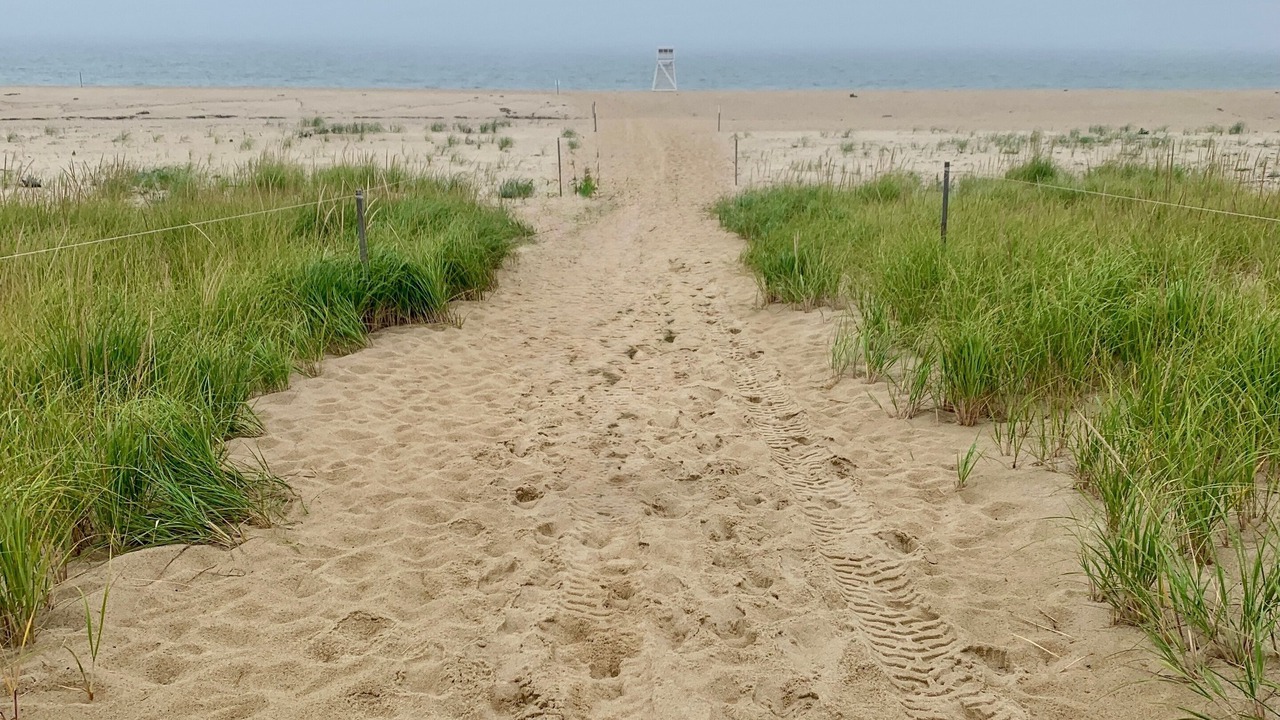Photo of Others in North Truro