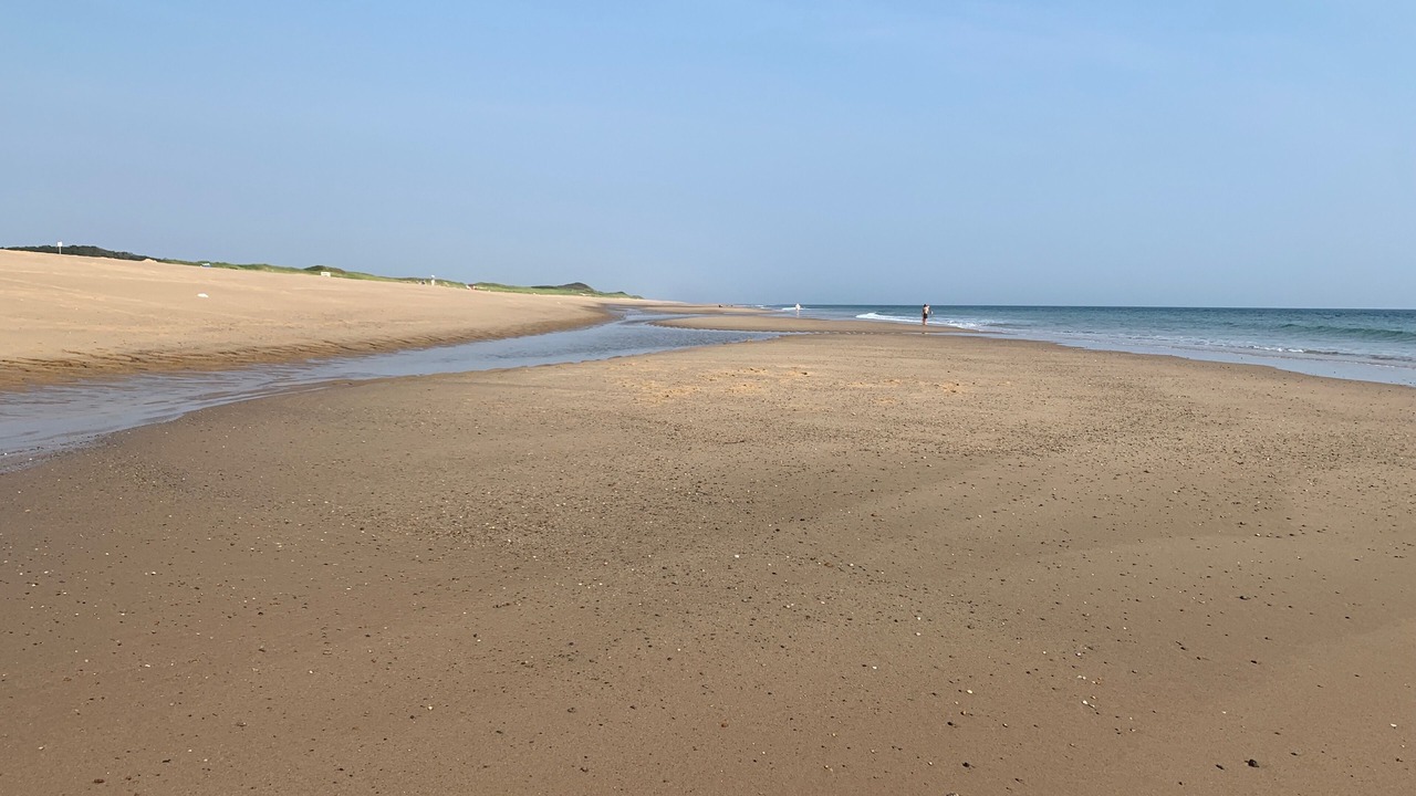 Photo of Others in North Truro