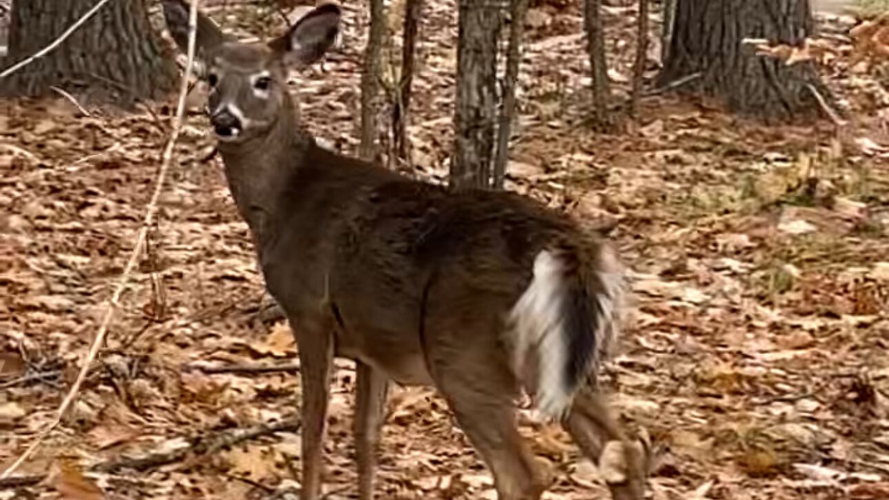 Photo of Others in Jay