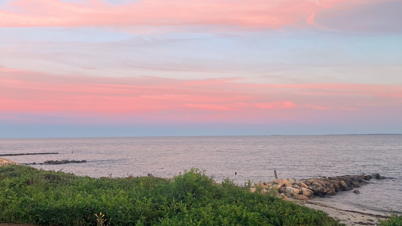 Photo of Outdoor in East Falmouth