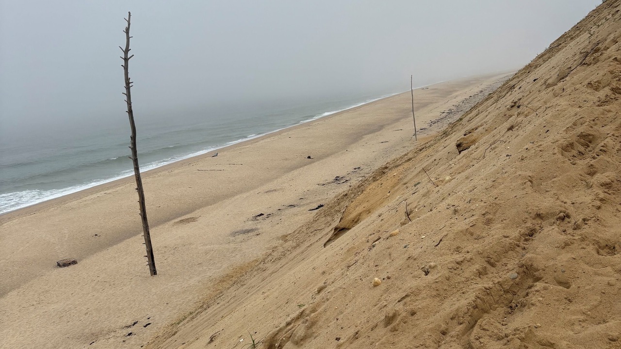 Photo of Others in Indian Neck Heights