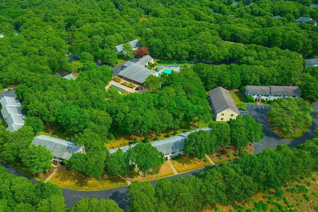 Photo of Outdoor in Mashpee