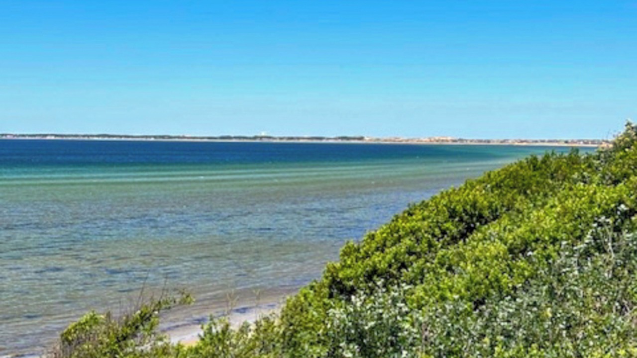 Photo of Others in North Truro