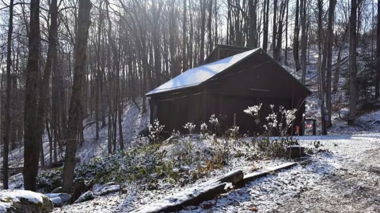 Photo of Others in Jamesville
