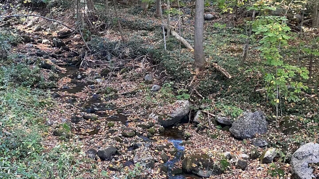 Photo of Others in Jamesville