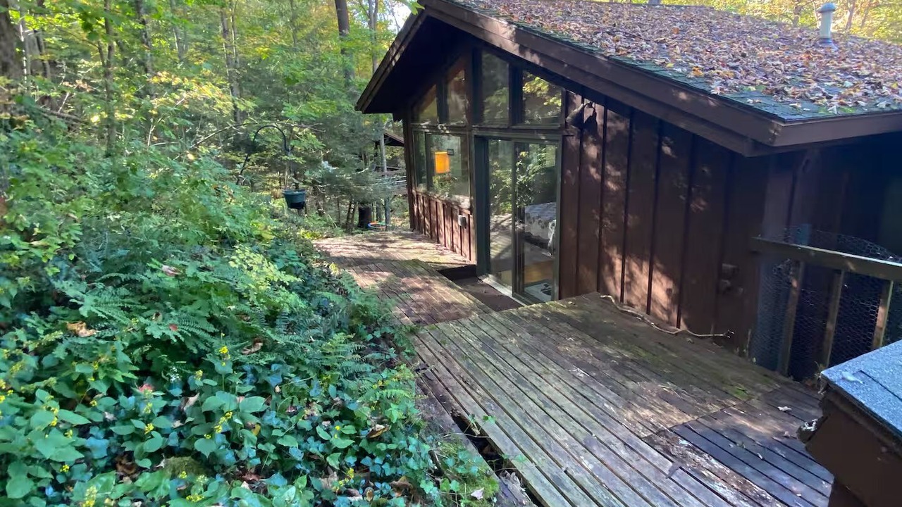 Photo of Outdoor in Jamesville