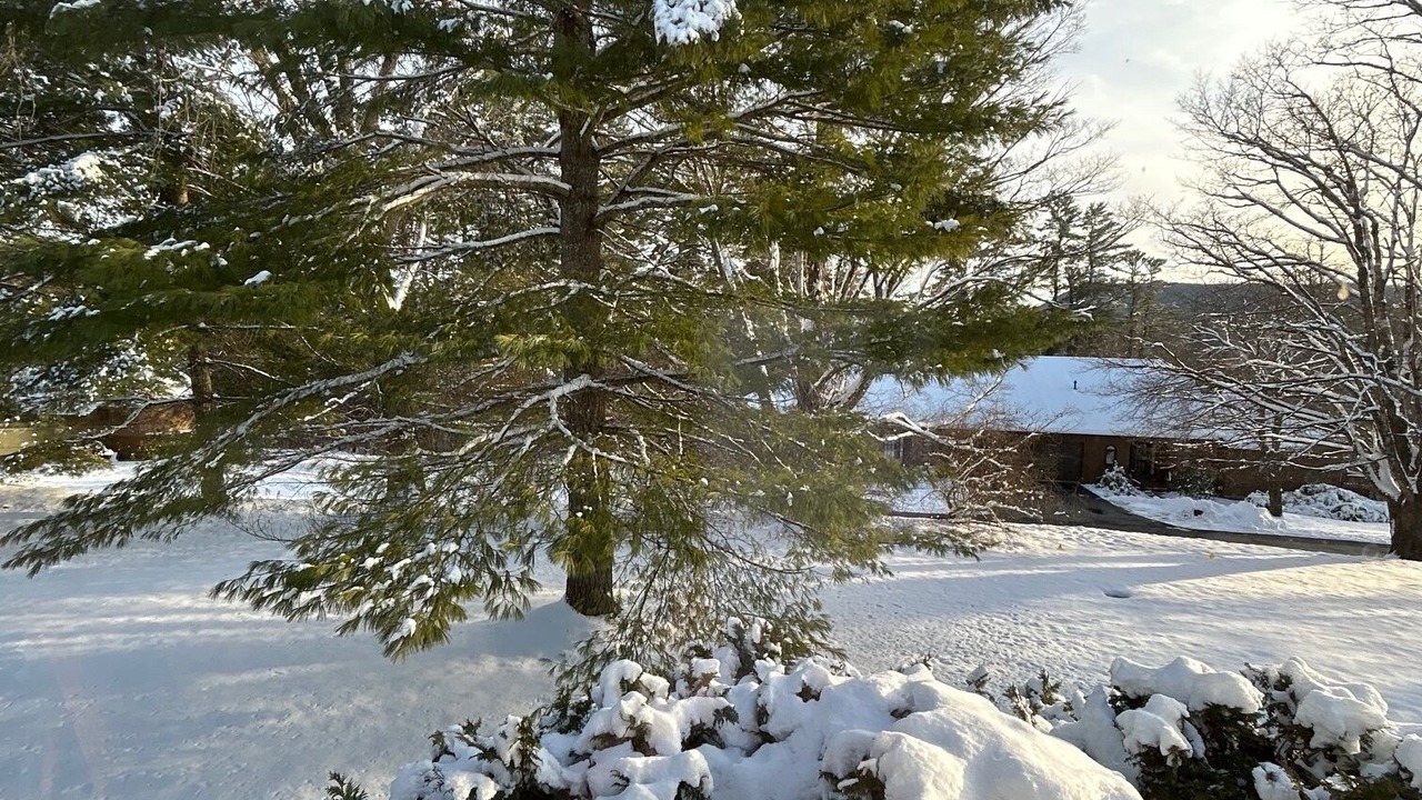 Photo of Others in Lenox