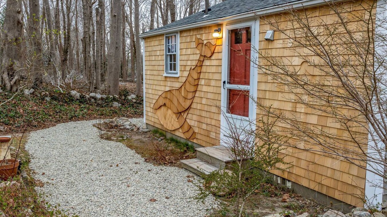 Photo of Outdoor in West Barnstable