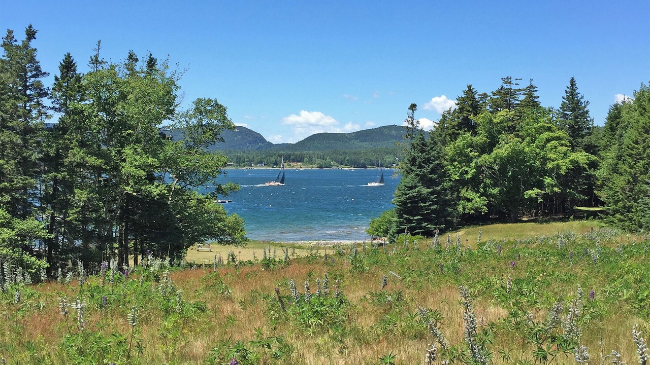 Photo of Others in Southwest Harbor